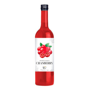Xarope Cranberry Para Soda Italiana Aromatizante Santo Shot 500ml