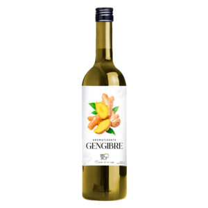 Xarope Gengibre Para Soda Italiana Aromatizante Santo Shot 500ml